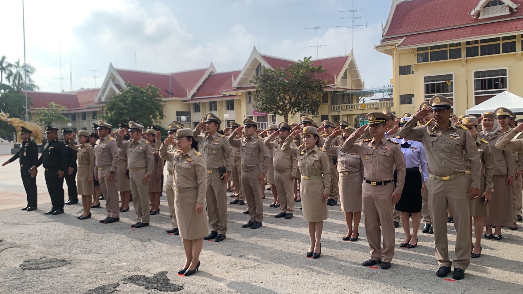 Mol-Thailand